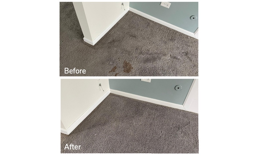 Image 3: Expert Rug Cleaning with Convenient Services 