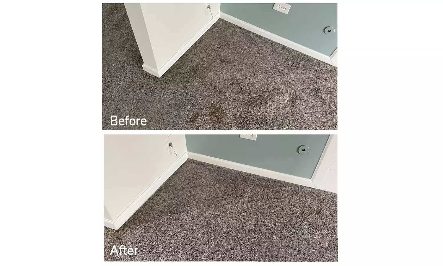 Expert Rug Cleaning with Convenient Services 