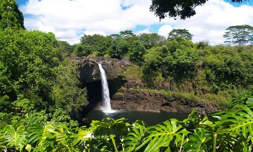 Image 2: Small-Group Hilo Cruise Ship Shore Excursion
