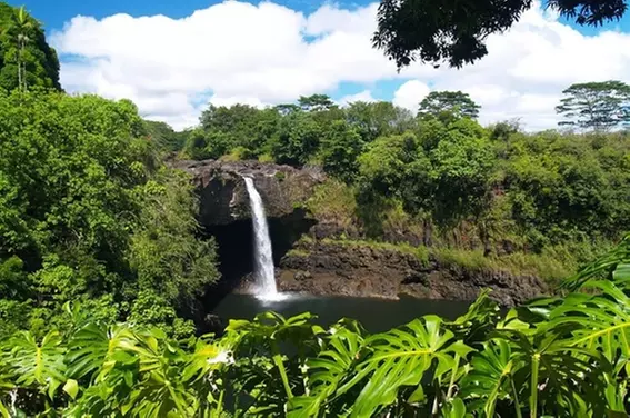 Small-Group Hilo Cruise Ship Shore Excursion