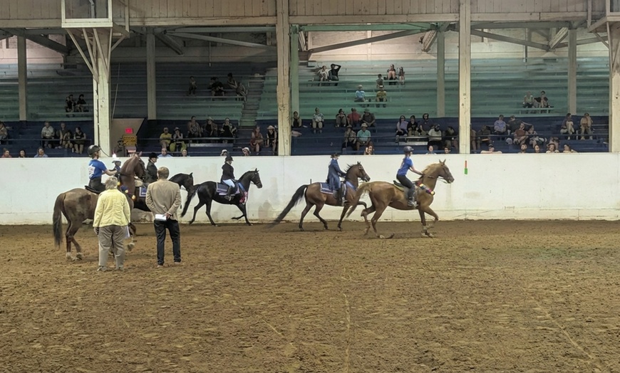 Image 2: Private Horseback Riding Lessons: Improve Skills & Confidence Outdoors