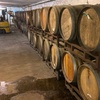 Image 9: Party Bus Wine Tours for Two, Six, or Eight 