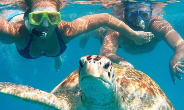 What to expect media