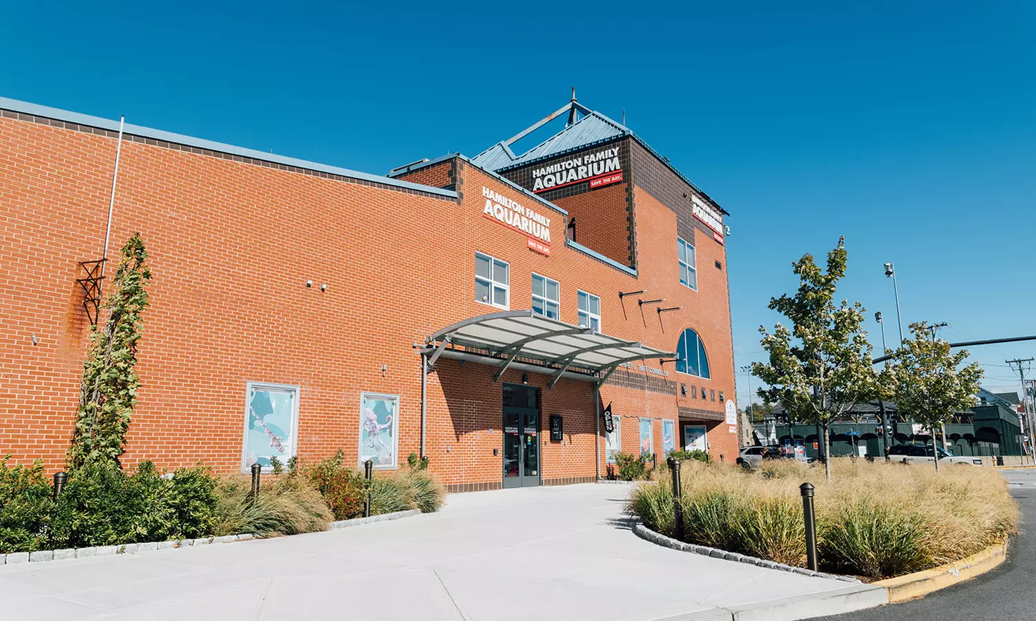 Explore Marine Life at Save The Bay's Aquarium – Newport, RI