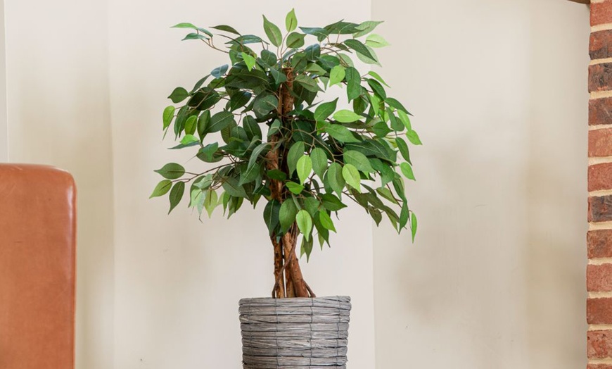 Image 11: Artificial Plants and Trees - Bamboo, Ficus, Olive and Palm