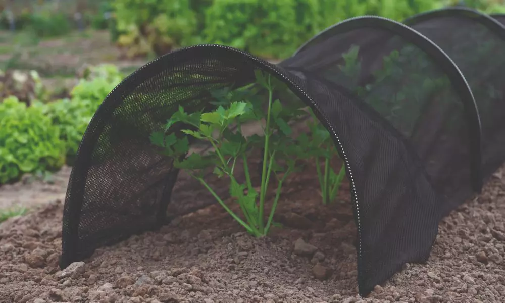 Garden Greenhouse Polytunnel Cloche and Protection Structure Range