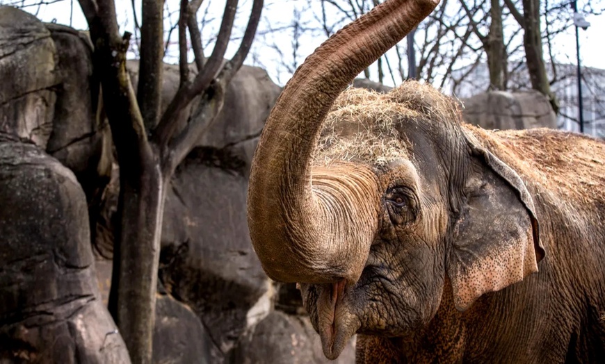 Image 7: Save 50% on GetOut Ohio Membership - A Year of Attractions & Fun! 