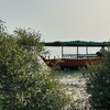Image 8: Explore Abu Dhabi in 1, 2, 3, or 4 Hour Tours for Up to 12 Guests