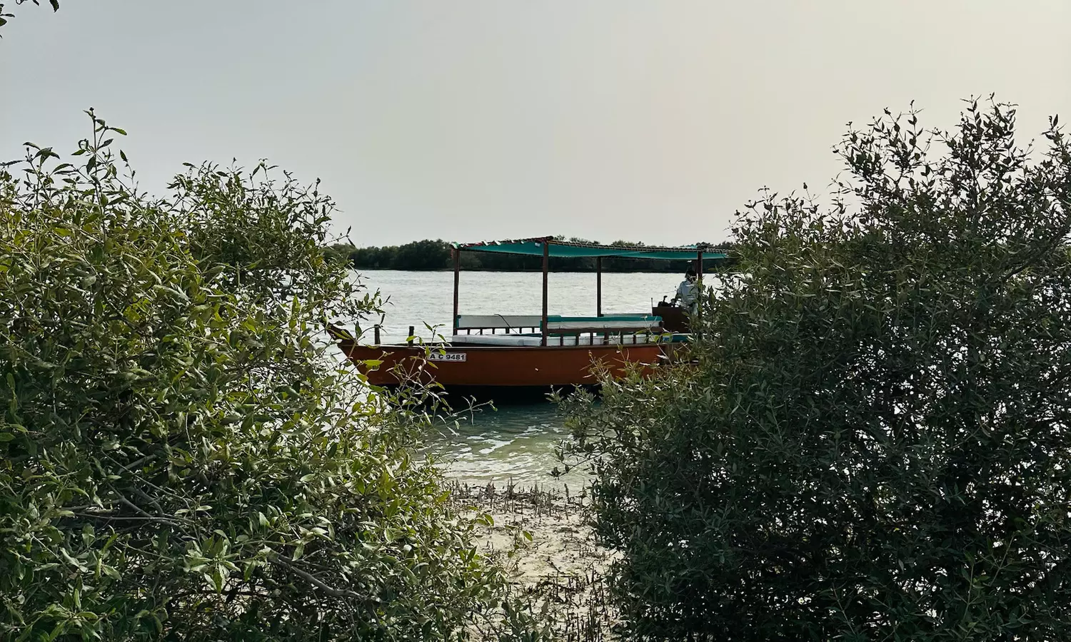 Explore Abu Dhabi in 1, 2, 3, or 4 Hour Tours for Up to 12 Guests