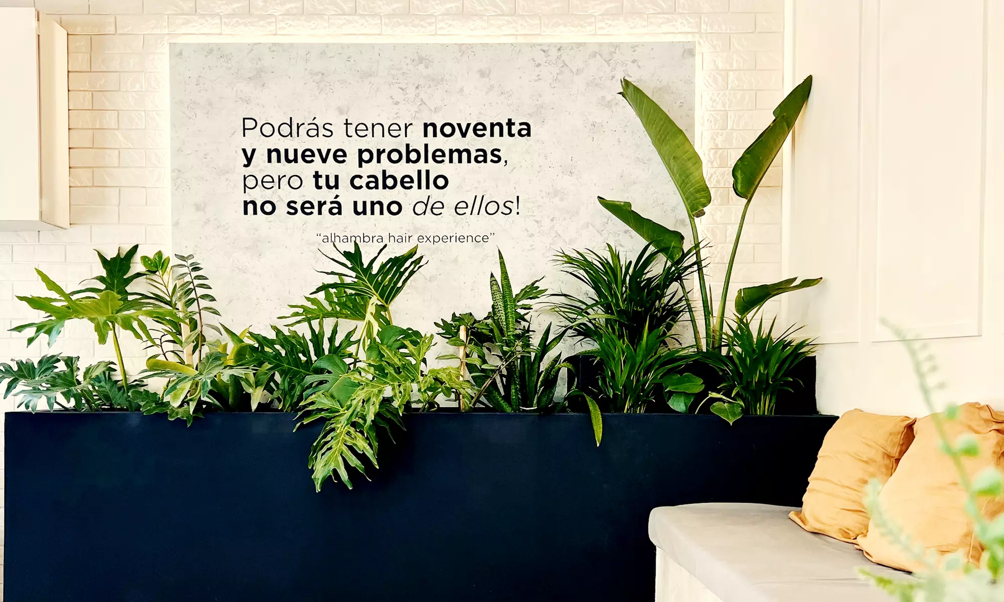 Experiencia de spa capilar con opción a masaje, higiene facial y más