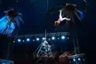 One Ticket to Circus Vegas American Circus - From March 17th - 22nd, 2026 (Up to 58% Off) - Image 7