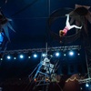 Image 16: One Grandstand Ticket to Circus Vegas American Circus