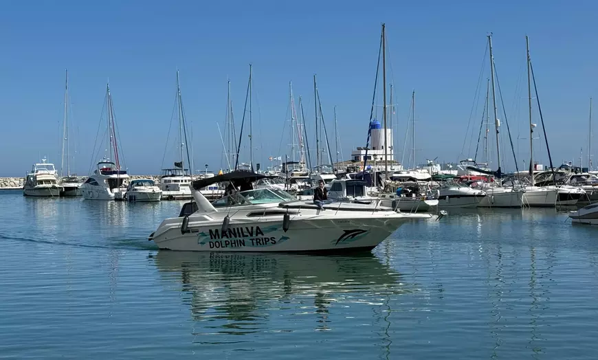 Image 9: Paseo en barco con avistamiento de delfines y bebida para niño/adulto