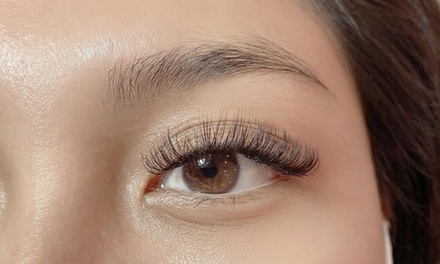 Full Set of Classic YY Eyelash Extension - MS Eyelash and Beauty