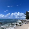 Image 4: Master the Waves: Stand Up Paddle Lessons at North Shore Surf Shop 