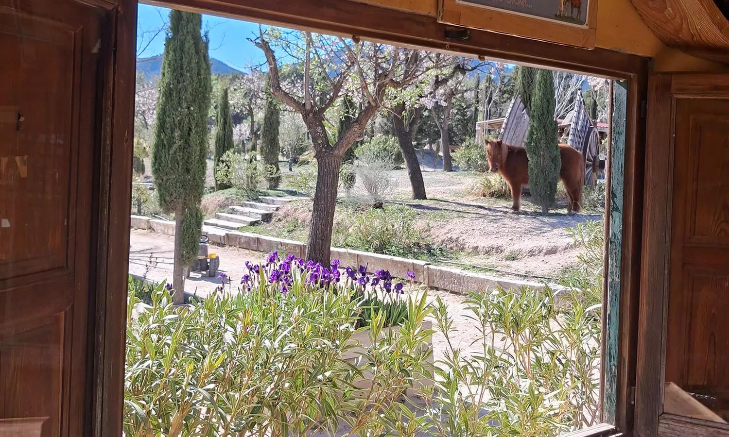 50% de dto. en Equitación - Actividad recreativa en MAIGMO