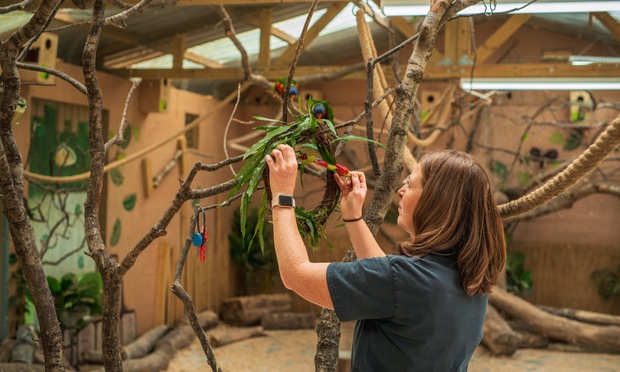 wildlife at the meadows wildlife park