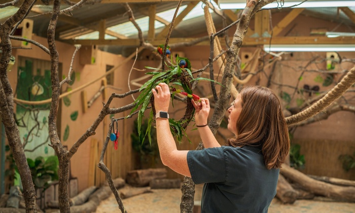 wildlife at the meadows wildlife park