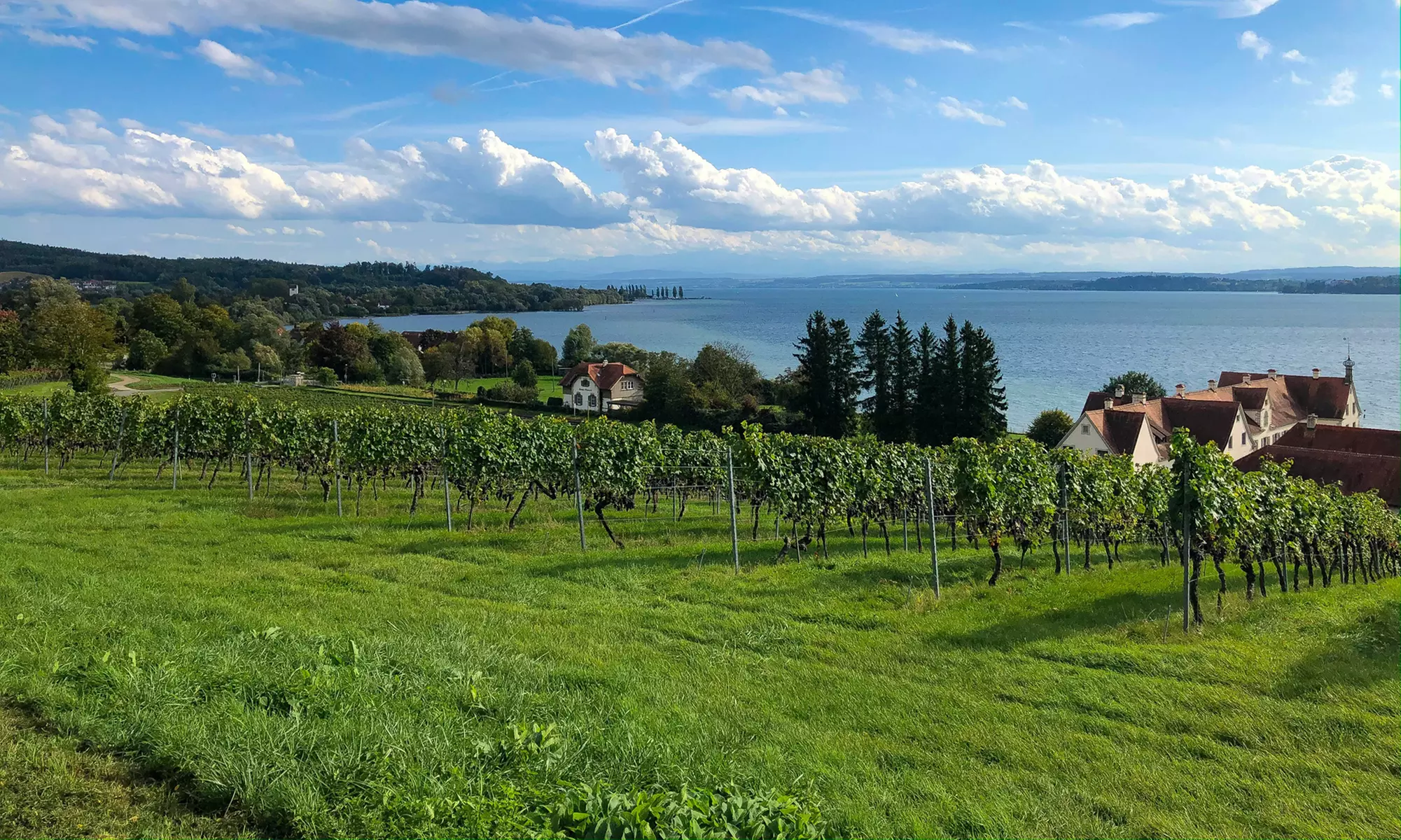 Bodensee: 1-3 Nächte inkl. Gourmet-Dinner, Aperitif & Thermeneintritt