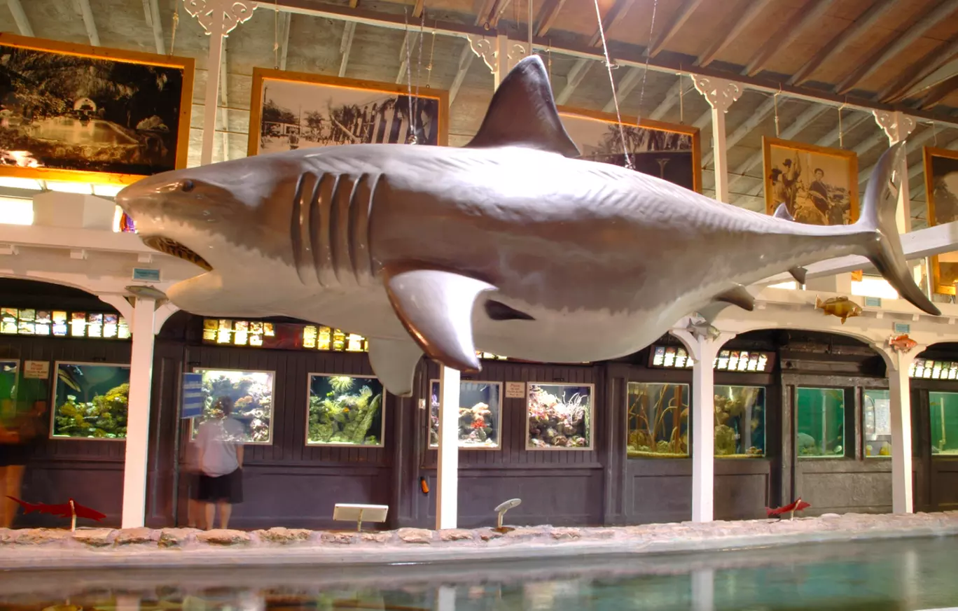 Admission to Key West Aquarium