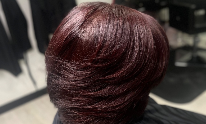 Image 5: Transform Your Hair: Envii Signature Signature or Ayurvedic Silk Press
