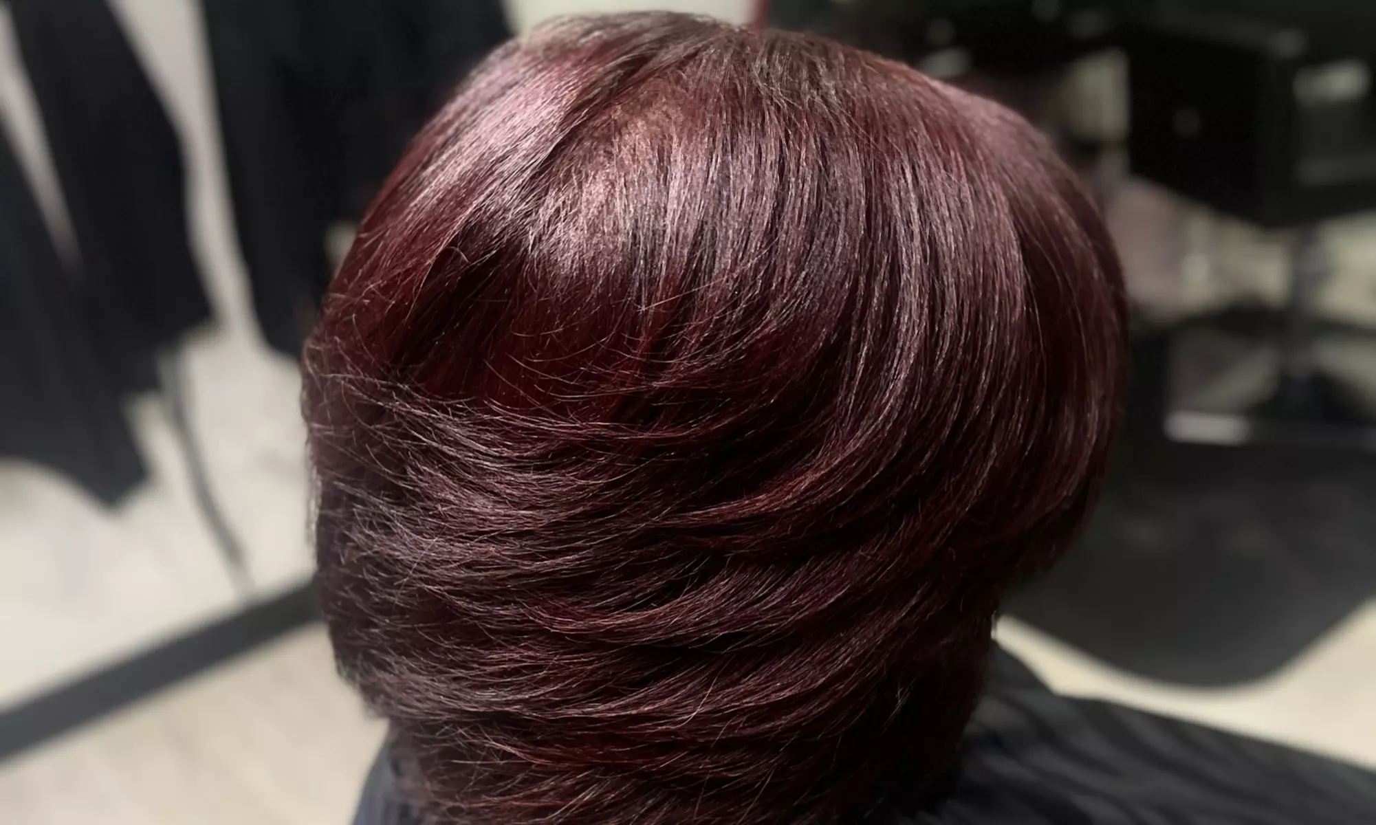 Transform Your Hair: Envii Signature Signature or Ayurvedic Silk Press