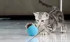 3PCS Cat Toy Gravity Ball Smart Touch Interactive Pet Squeak Balls