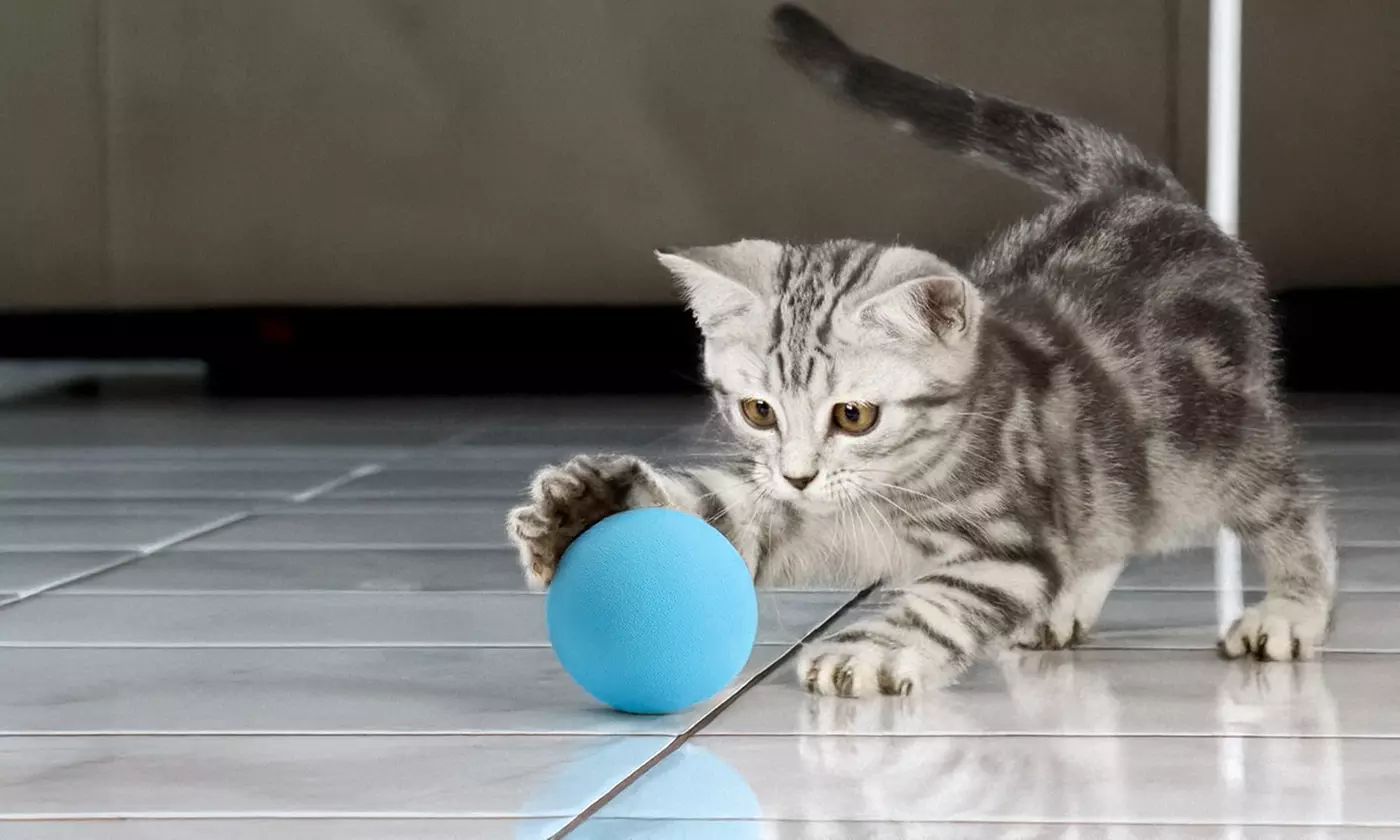 3PCS Cat Toy Gravity Ball Smart Touch Interactive Pet Squeak Balls