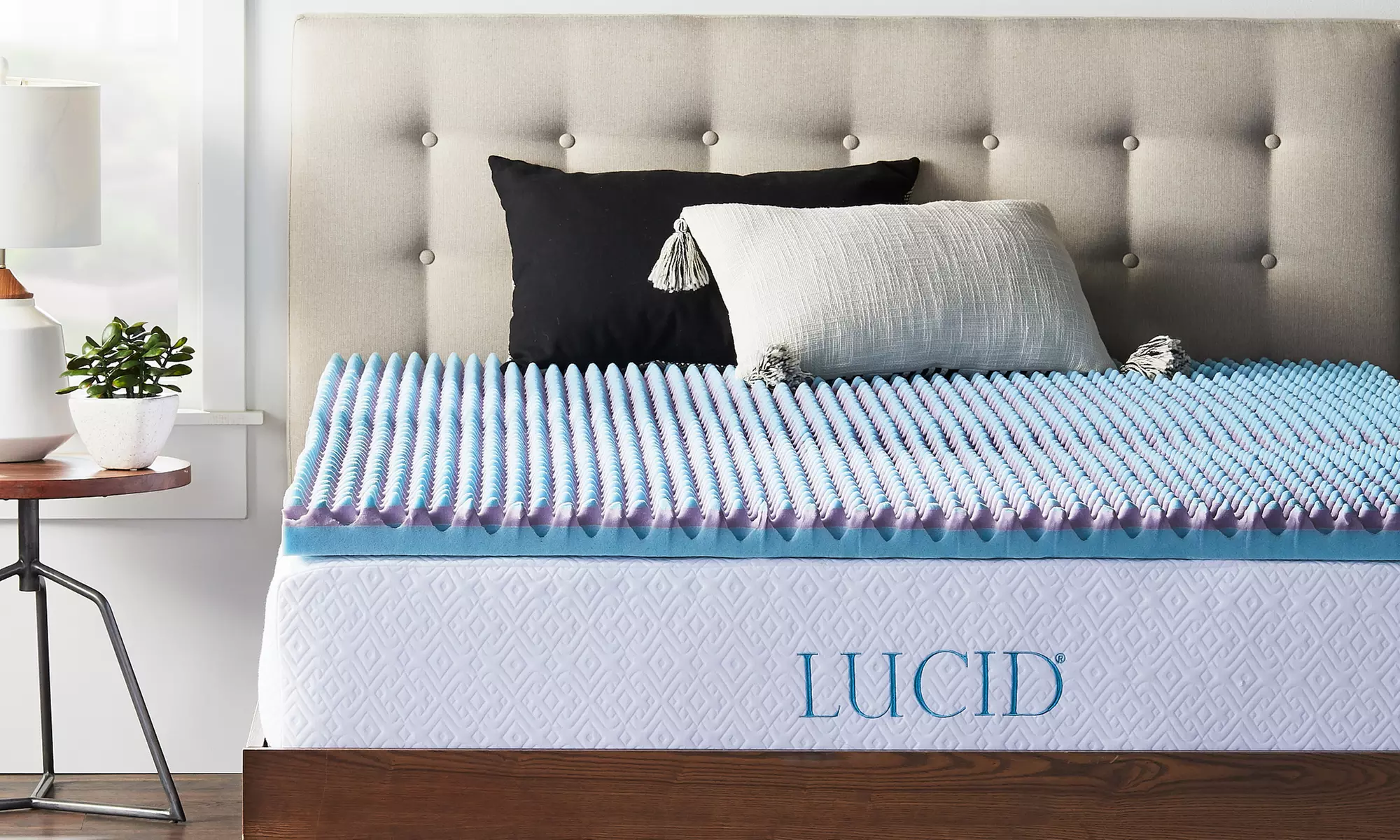 Lucid 2.5" Duo-Foam Lavender-Breeze Mattress Topper - Primary Image