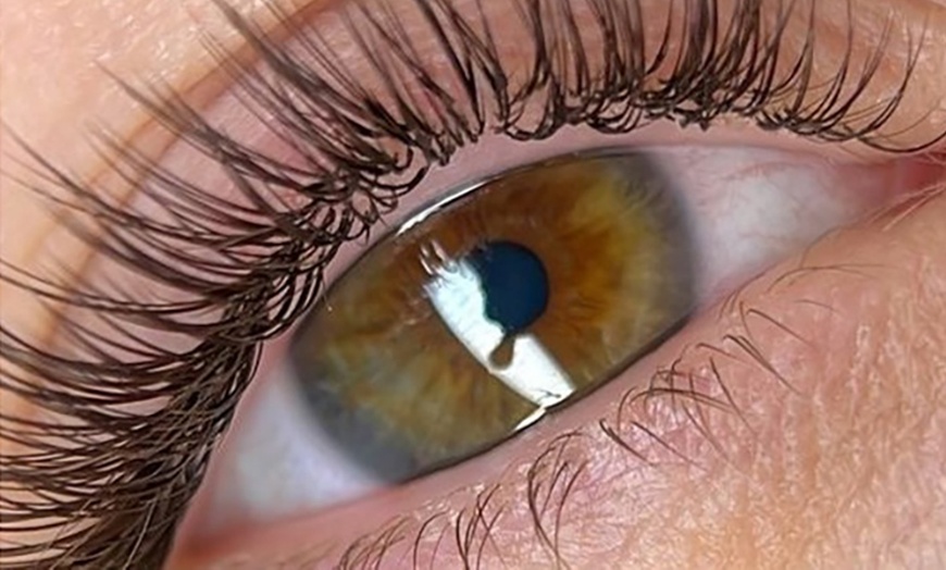 Image 3: Get Classic or Volume (3D/6D) Lash Extensions w/ Optional 2 Week Fill