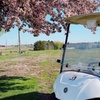 Image 5: 18 Holes of Golf with Cart at Ma Cal Grove Country Club