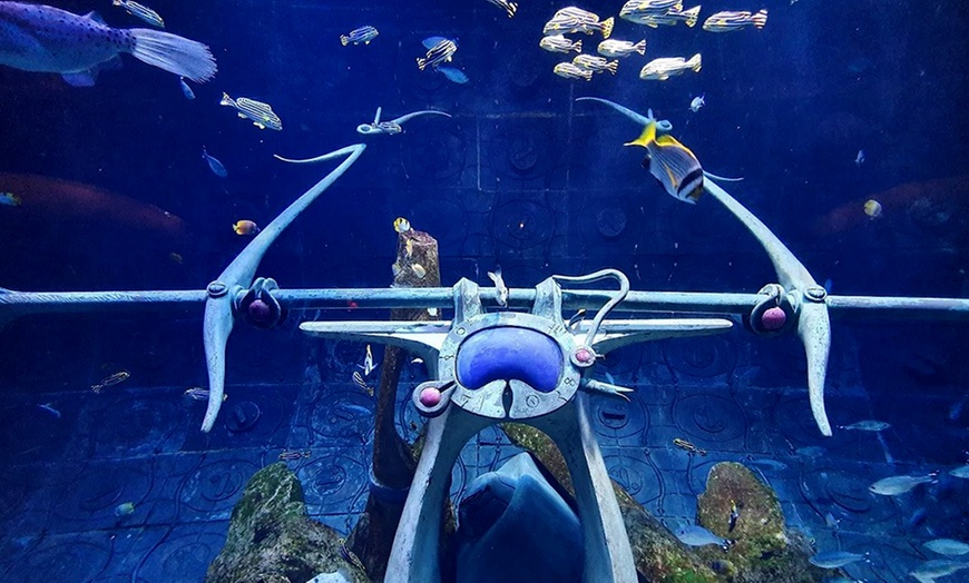 Image 4: Lost World Aquarium – Entry Tickets for Kids, Adults & Families