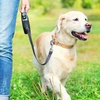Image 1: Accredited Online Dog Walking Course - Save 91%!