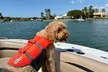 Embark on an 4 or 8 Hr Deck Boat Rental with Pure Naples Up To 8 Guests (Up To 37% Off) - Second Medium