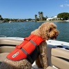 Image 5: 4 or 8 Hour Deck Boat Rental with Bimini Top in Naples 