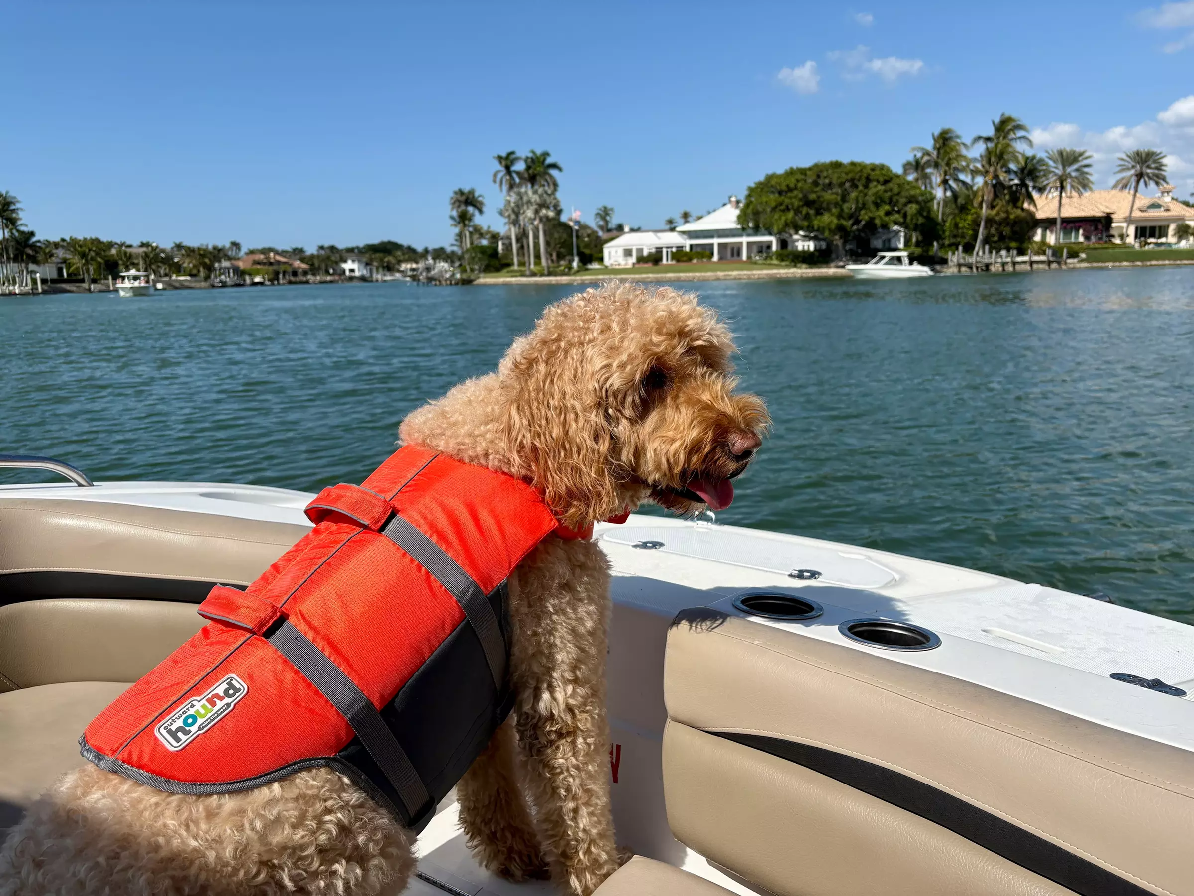 4 or 8 Hour Deck Boat Rental with Bimini Top in Naples