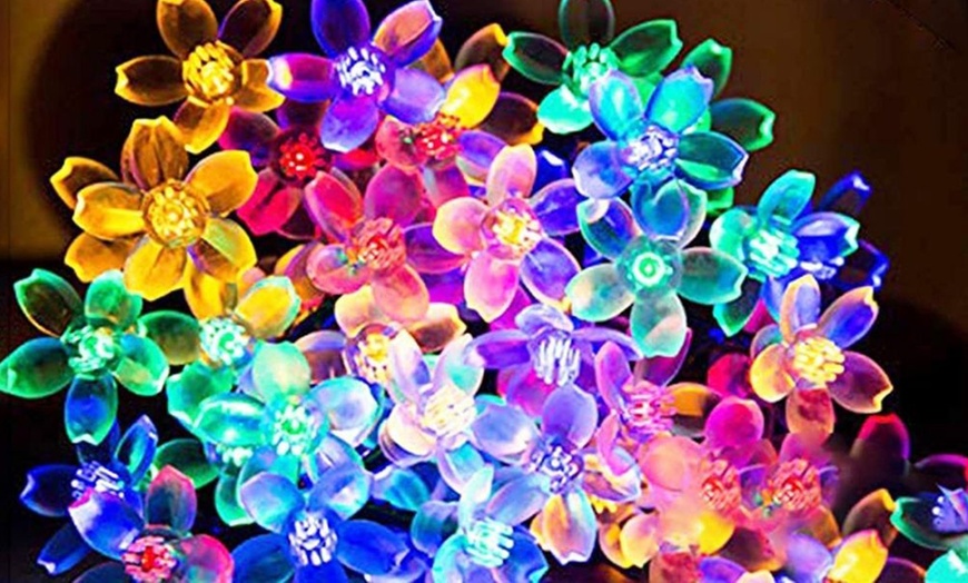 Image 17: 50 LED Multi-Coloured Solar Cherry Blossom Lights Options
