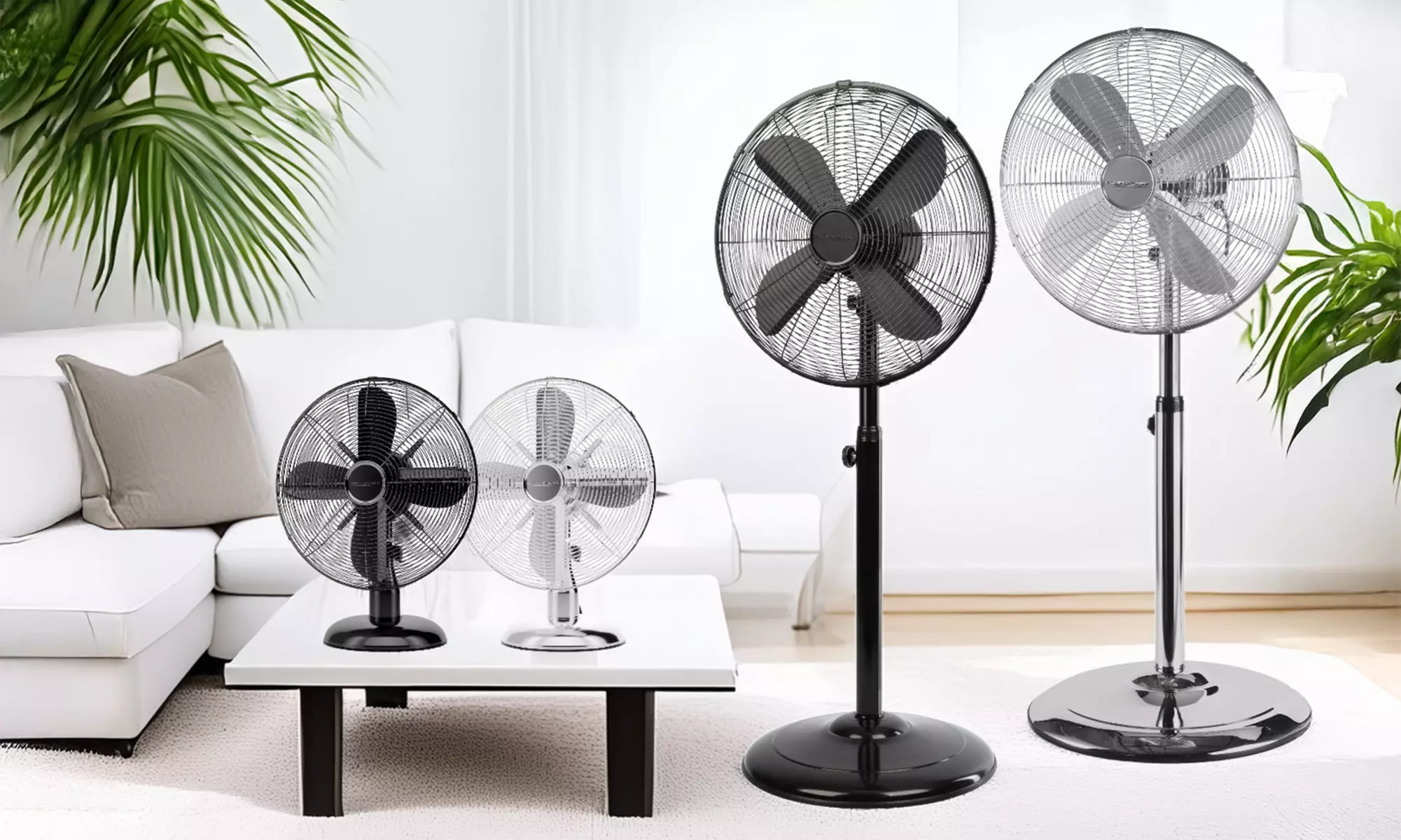 Ventilateur de table design inox ProfiCare, modèle au choix - Primary Image