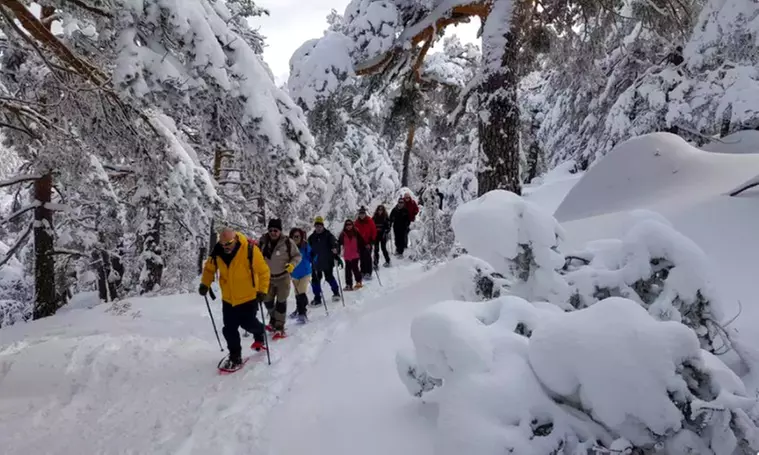 Excursión con raquetas por la Sierra de Guadarrama para 1 o 2 personas