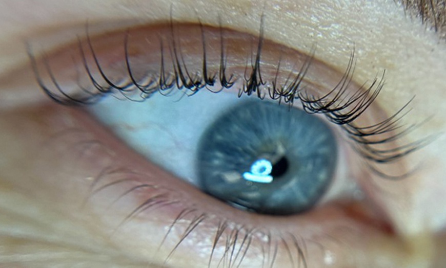 Image 8: Elevate Your Look with Lash Lift & Tint, Brow Lamination Options