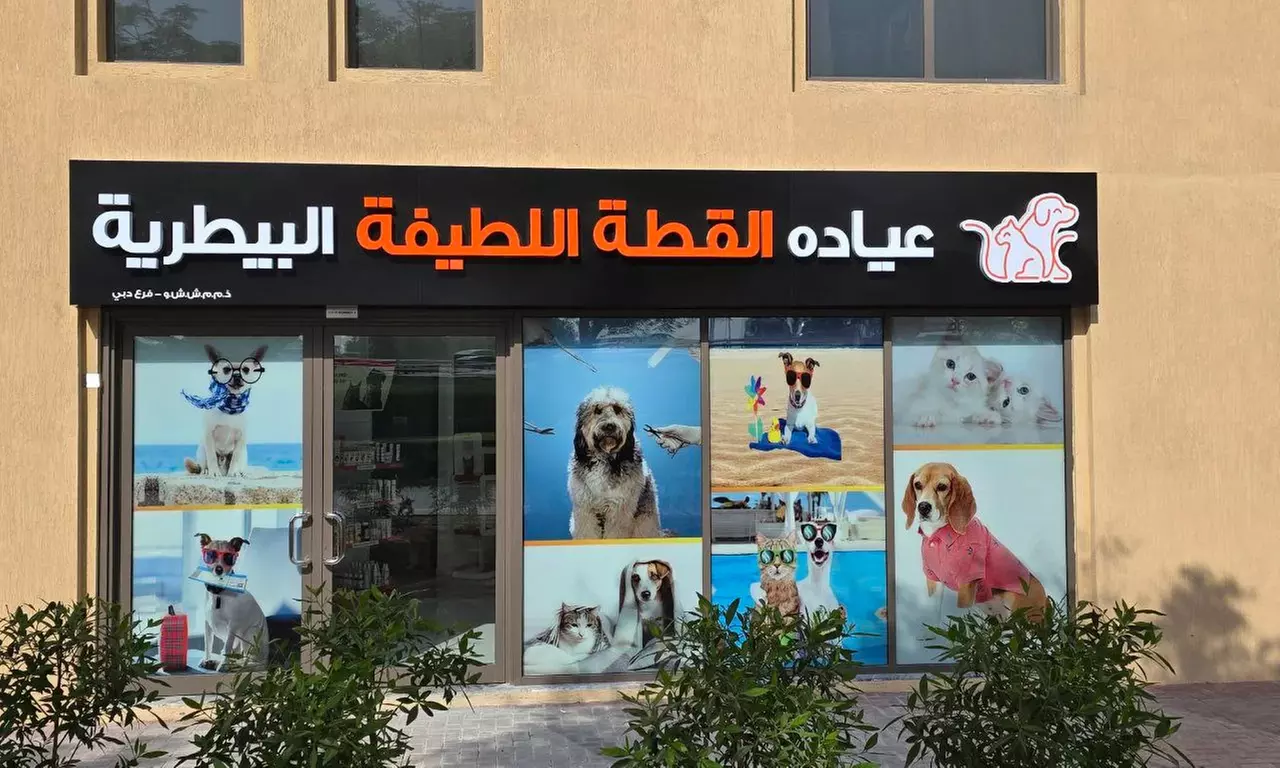 Female Cat Spaying Up to or Above 20 Kg, Male Dog Castration & More