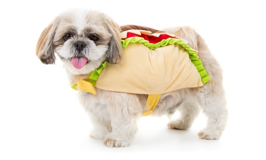 Image 6: Pet Multi Shoot: x2 10x8" Wall Blocks/x2 Digital Images & x1 Per Shoot