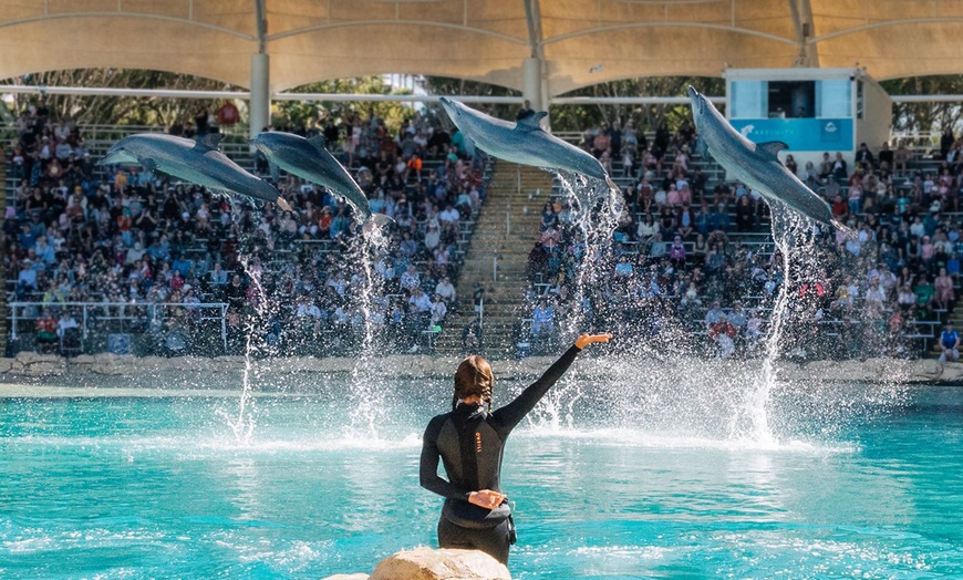 Image 5: Unlock Adventure: 7-Day Super Pass for One to the Village Roadshow