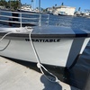 Image 6: Sunset Sightseeing & Eco History Cruises – Port Orange, FL
