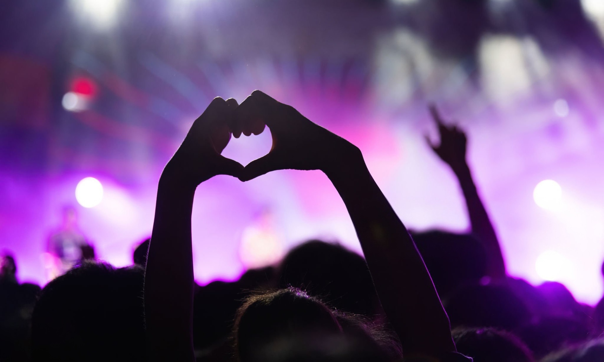 Hop on a Fun One Direction Sightseeing Bus Tour