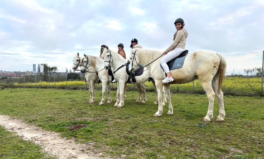 Image 6: Paseo a caballo con todo el material incluido para 1 o 2 personas