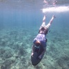 Image 4: Up to 41% Off SEABOB Snorkel Tours – Fort Lauderdale Beach
