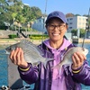 Image 1: 3-Hour Landbased Fishing Experience at Sydney's Top Spots