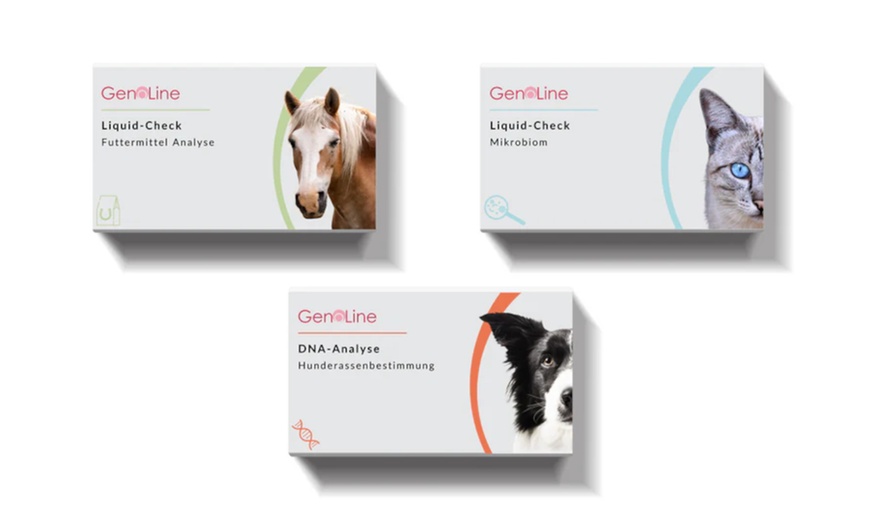 Image 8: GenoLine-Premium-Testkits mit Wertgutschein kaufen