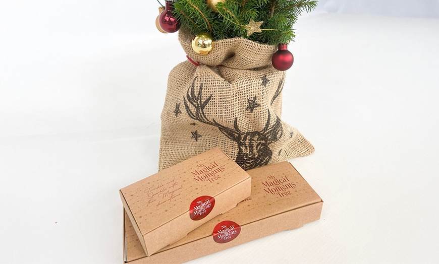 Image 4: Pack de arbolito Picea glauca Conica con decoración navideña de Rootz